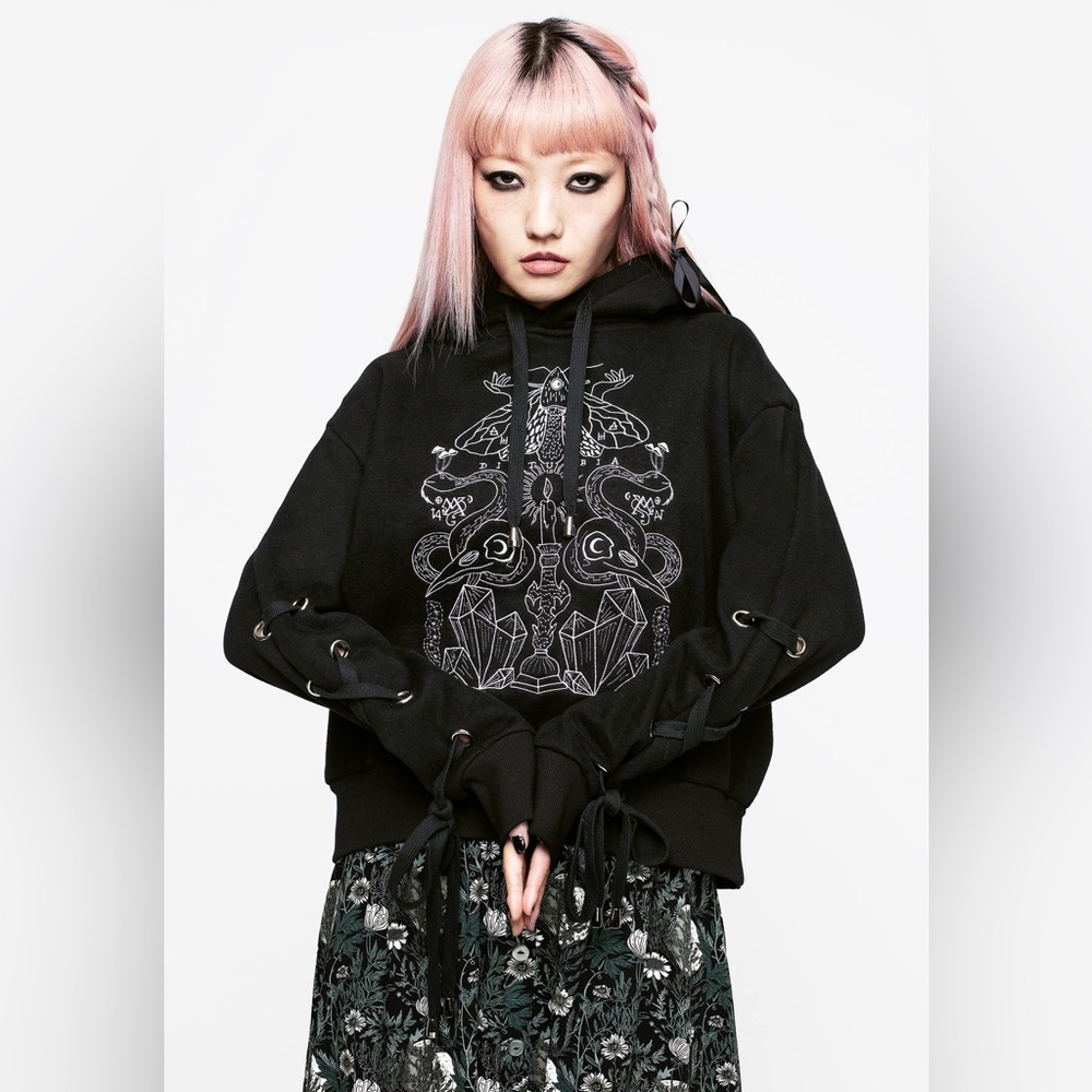 Disturbia Angitia Embroidered Crop Hoody US 2 / UK 6 - Picture 2 of 8